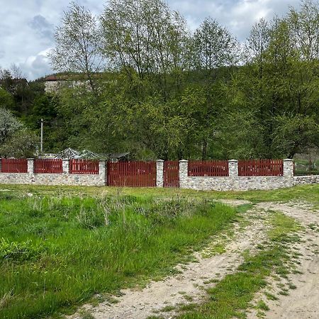 Hotel La Gradina Mehadija Exteriér fotografie