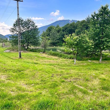 Hotel La Gradina Mehadija Exteriér fotografie