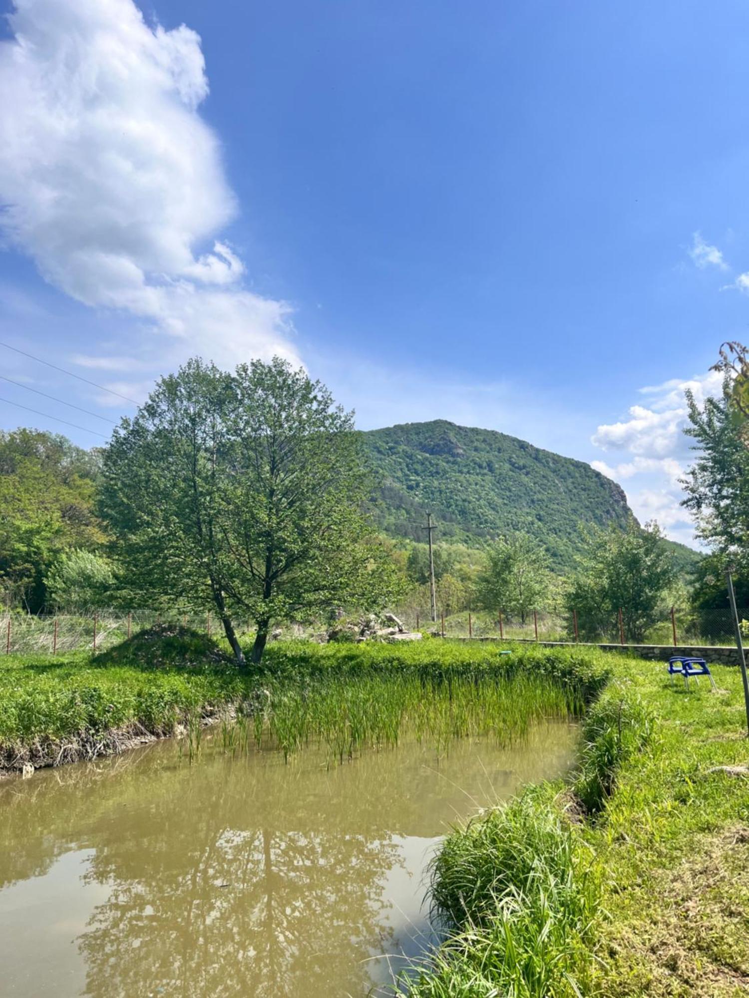 Hotel La Gradina Mehadija Exteriér fotografie