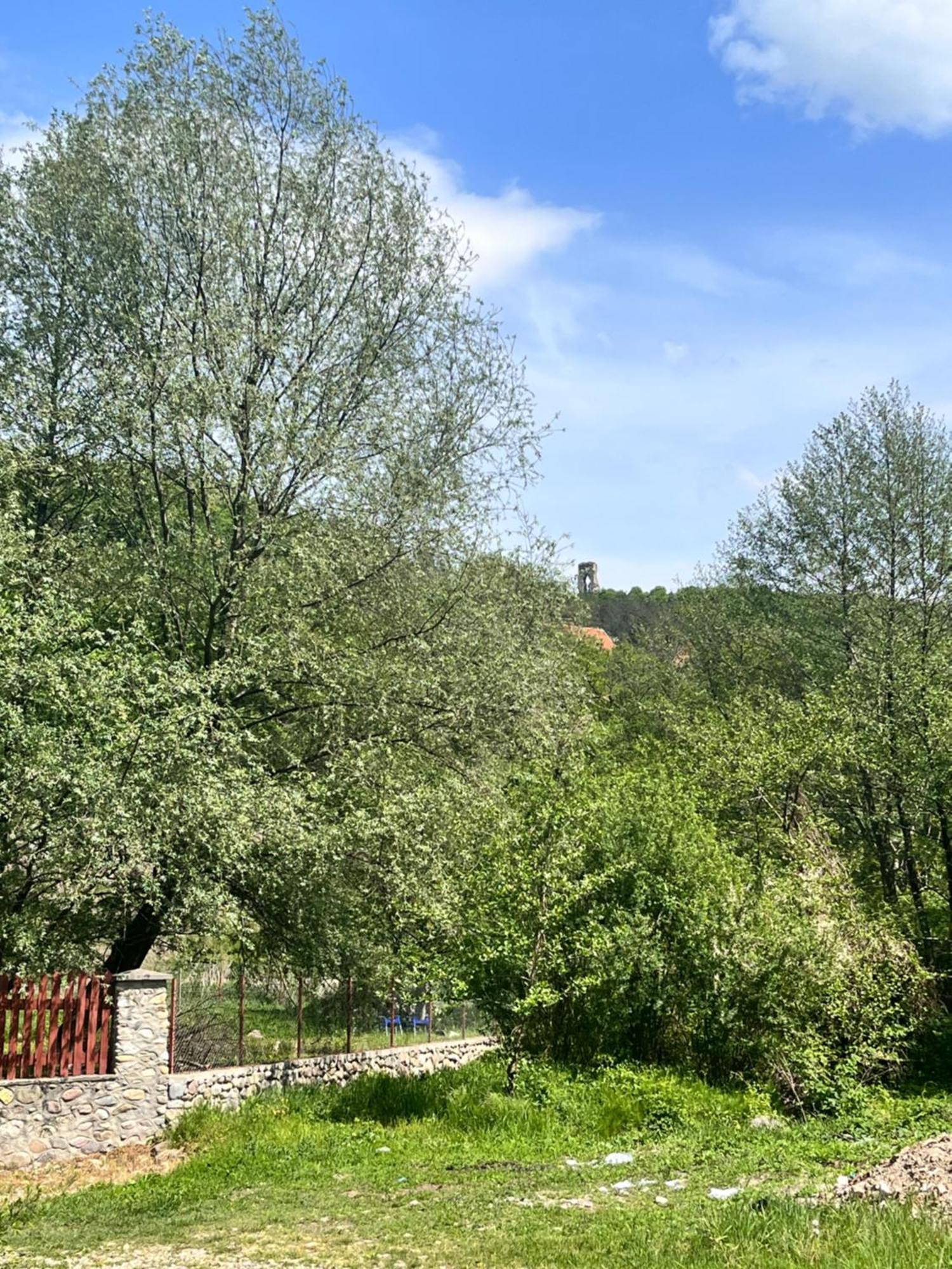 Hotel La Gradina Mehadija Exteriér fotografie