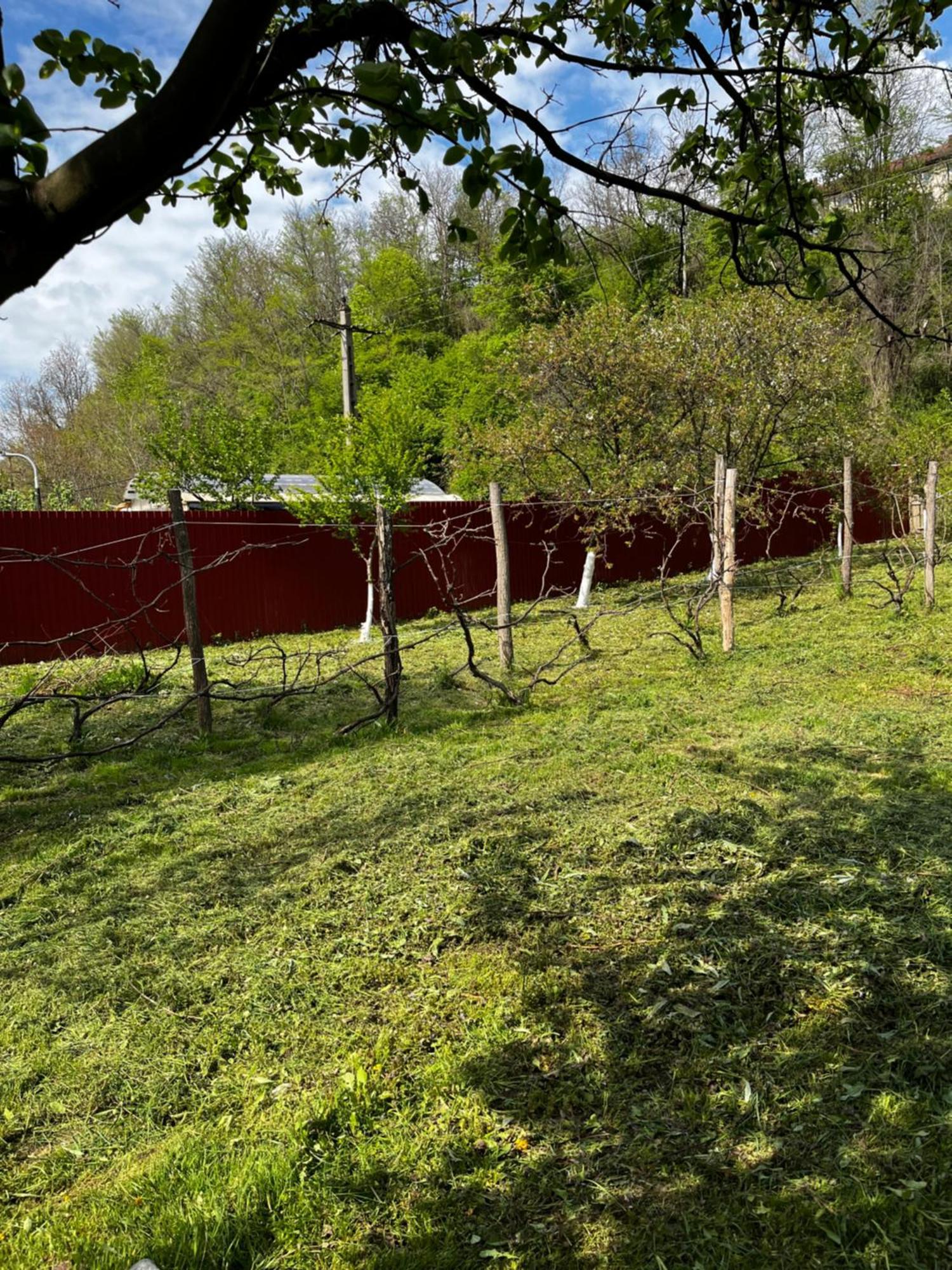 Hotel La Gradina Mehadija Exteriér fotografie