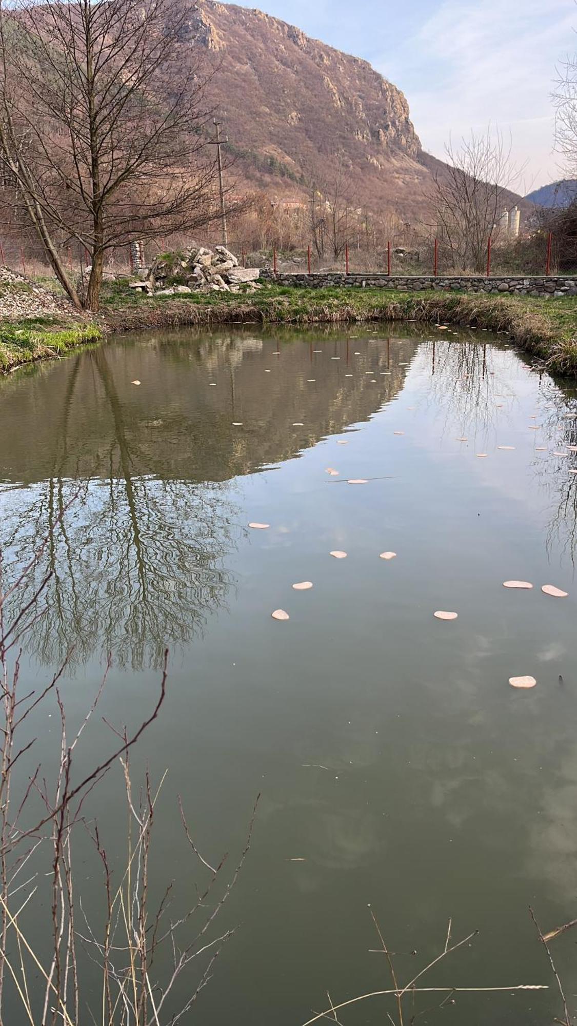 Hotel La Gradina Mehadija Exteriér fotografie