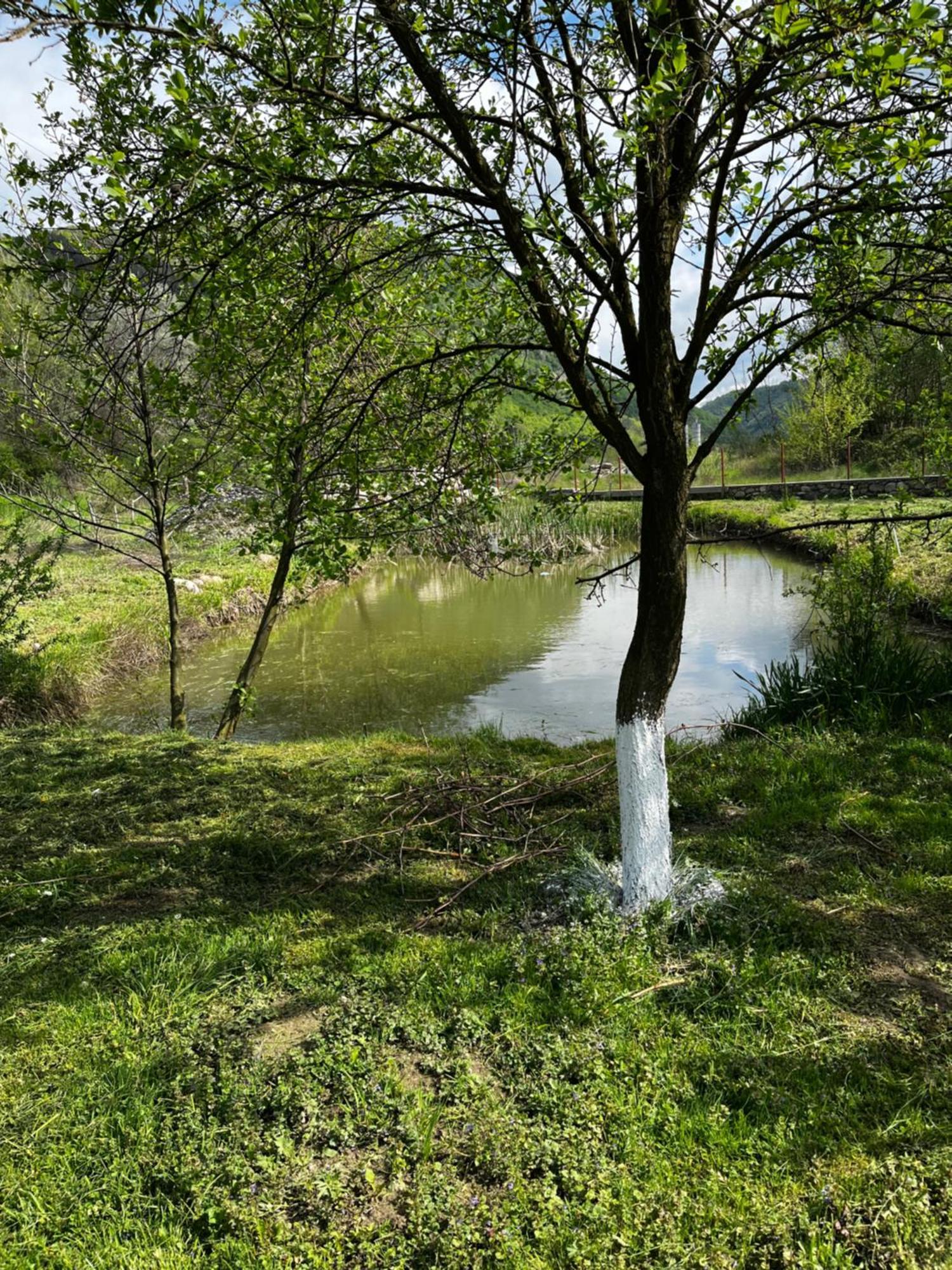 Hotel La Gradina Mehadija Exteriér fotografie